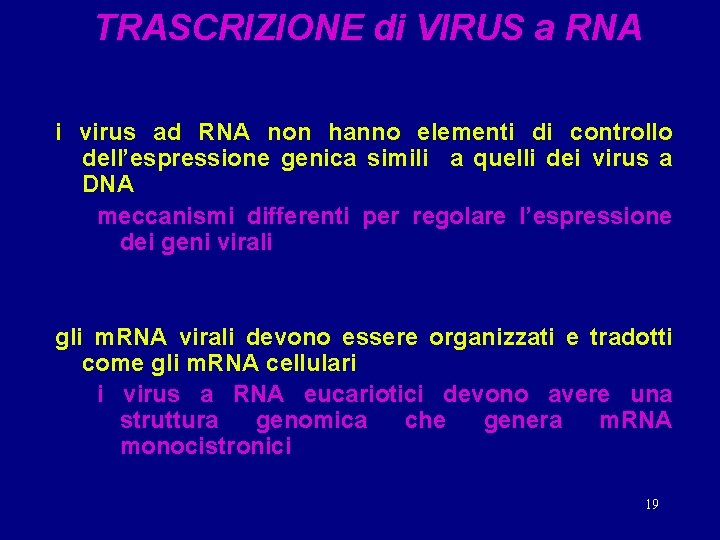 TRASCRIZIONE di VIRUS a RNA i virus ad RNA non hanno elementi di controllo