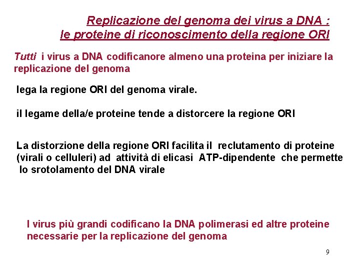 Replicazione del genoma dei virus a DNA : le proteine di riconoscimento della regione
