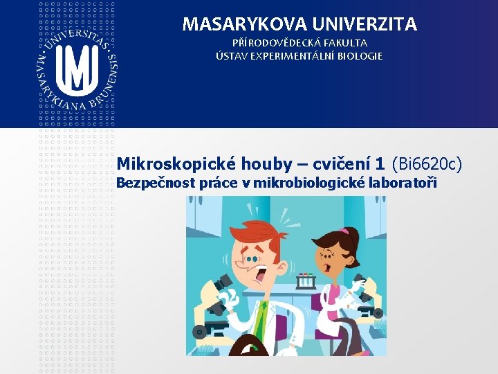 MASARYKOVA UNIVERZITA PŘÍRODOVĚDECKÁ FAKULTA ÚSTAV EXPERIMENTÁLNÍ BIOLOGIE Mikroskopické houby – cvičení 1 (Bi 6620