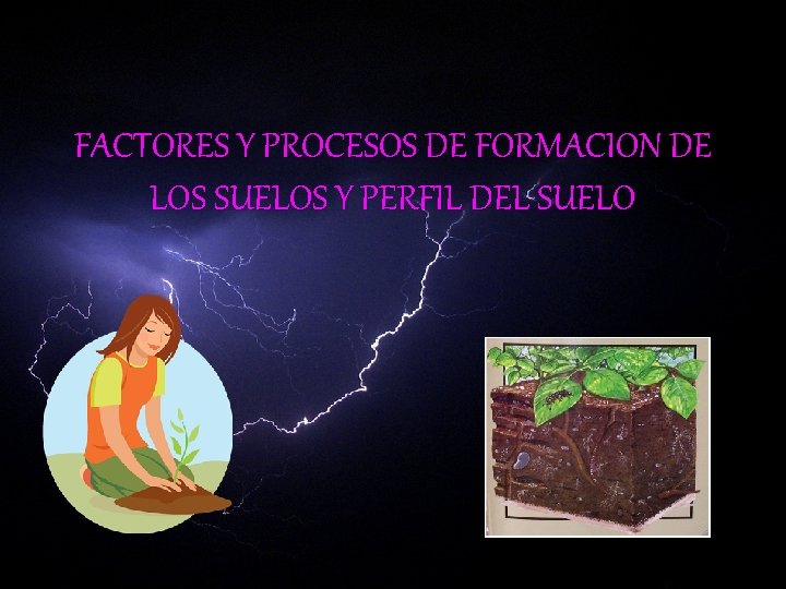 FACTORES Y PROCESOS DE FORMACION DE LOS SUELOS Y PERFIL DEL SUELO 