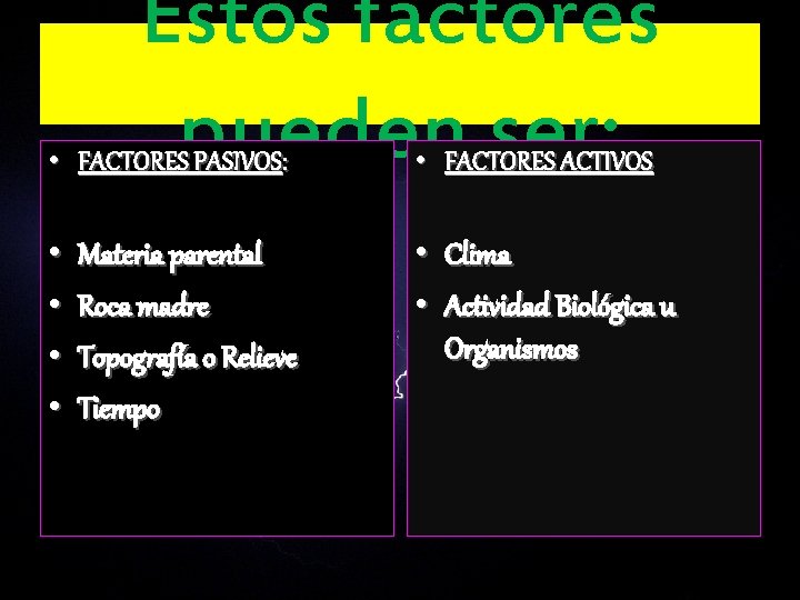 Estos factores pueden ser: • FACTORES PASIVOS: • FACTORES ACTIVOS • • • Clima