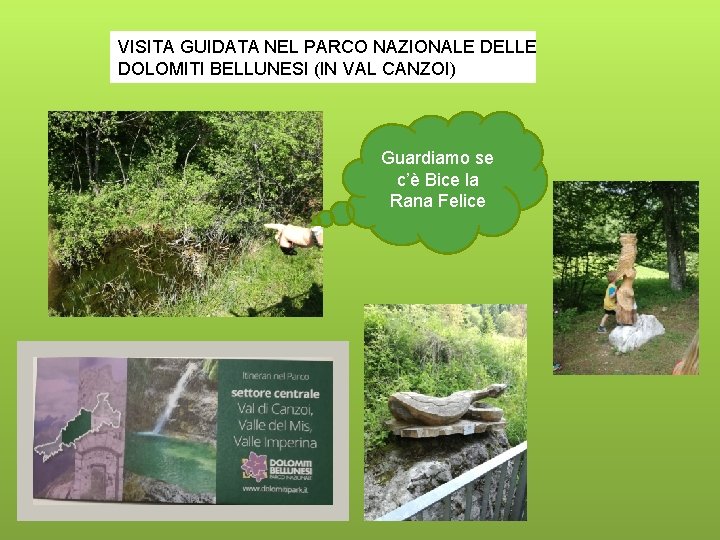 VISITA GUIDATA NEL PARCO NAZIONALE DELLE DOLOMITI BELLUNESI (IN VAL CANZOI) Guardiamo se c’è