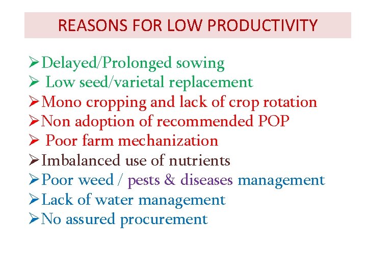 REASONS FOR LOW PRODUCTIVITY ØDelayed/Prolonged sowing Ø Low seed/varietal replacement ØMono cropping and lack