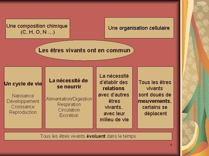 Une composition chimique (C, H, O, N …) Une organisation cellulaire Les êtres vivants