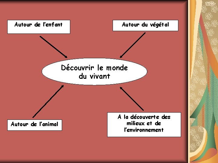 Autour de l’enfant Autour du végétal Découvrir le monde du vivant Autour de l’animal