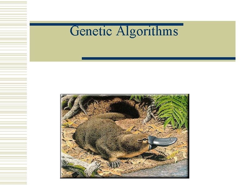 Genetic Algorithms Genetic Algorithms
