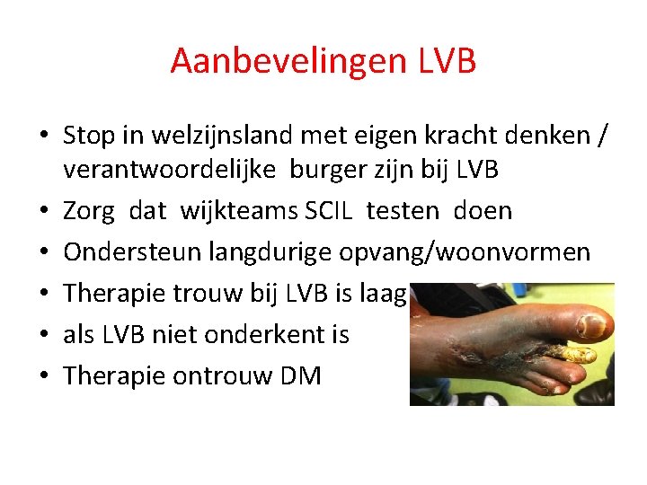 Aanbevelingen LVB • Stop in welzijnsland met eigen kracht denken / verantwoordelijke burger zijn