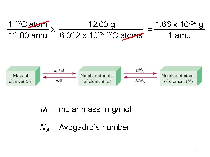 1 12 C atom 12. 00 g 1. 66 x 10 -24 g x