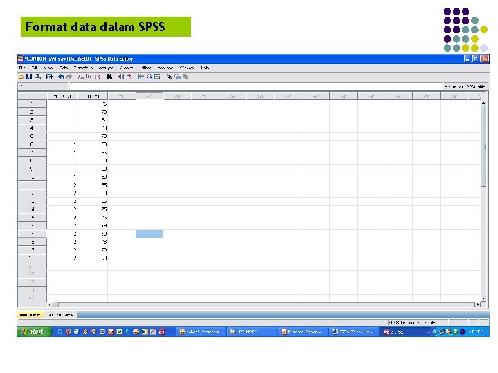 Format data dalam SPSS 