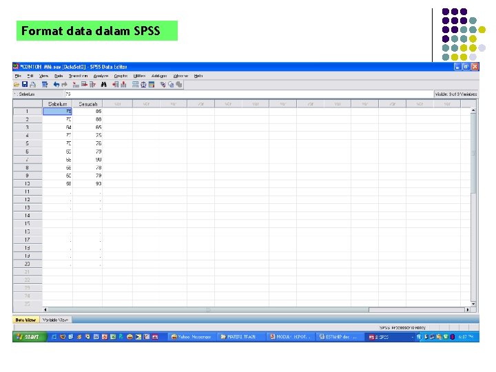 Format data dalam SPSS 