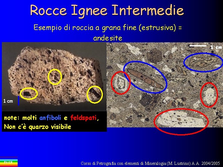 Rocce Ignee Intermedie Esempio di roccia a grana fine (estrusiva) = andesite 1 cm