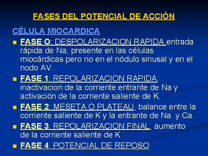 FASES DEL POTENCIAL DE ACCIÓN CÉLULA MIOCARDICA n FASE O: DESPOLARIZACION RAPIDA entrada rápida