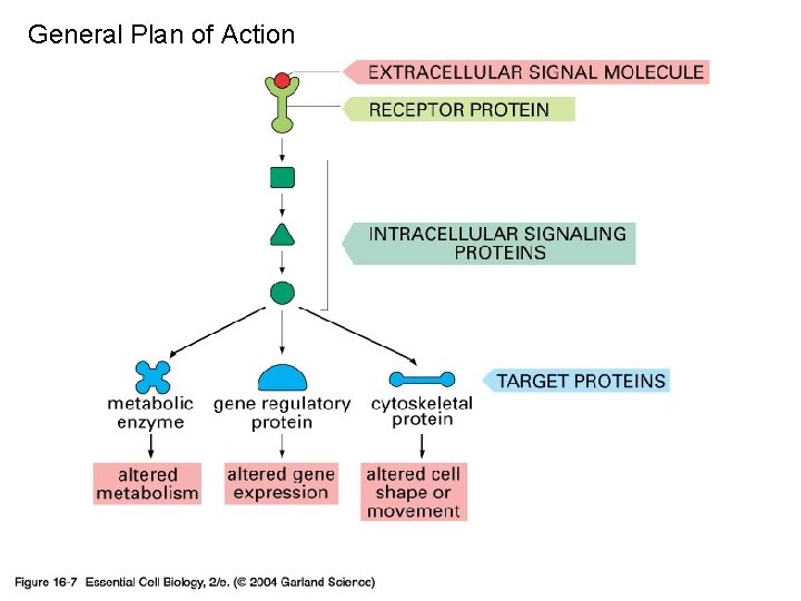 General Plan of Action 16_07_change_behavior. jpg 