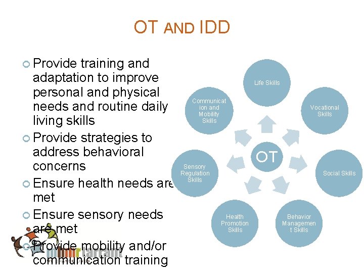 OT AND IDD Provide training and adaptation to improve Life Skills personal and physical