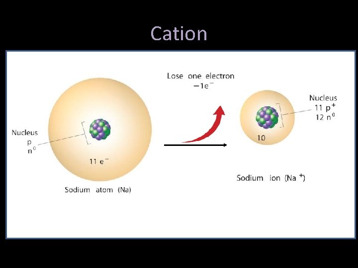 Cation 