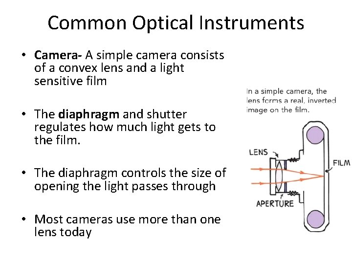 Common Optical Instruments • Camera- A simple camera consists of a convex lens and Common Optical Instruments • Camera- A simple camera consists of a convex lens and