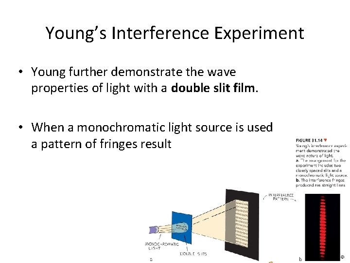 Young’s Interference Experiment • Young further demonstrate the wave properties of light with a Young’s Interference Experiment • Young further demonstrate the wave properties of light with a