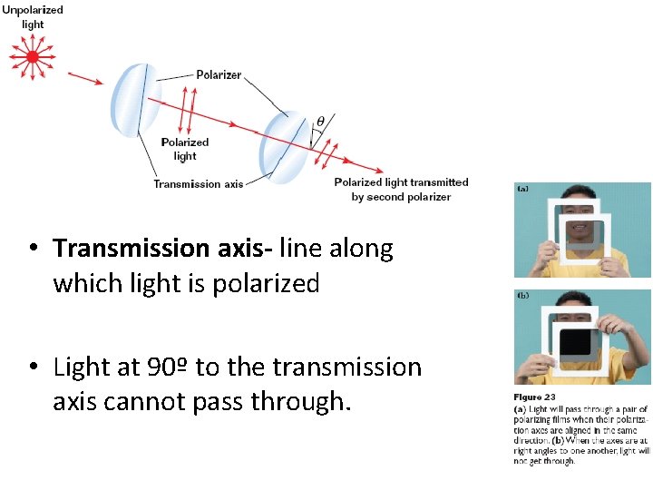 • Transmission axis- line along which light is polarized • Light at 90º • Transmission axis- line along which light is polarized • Light at 90º