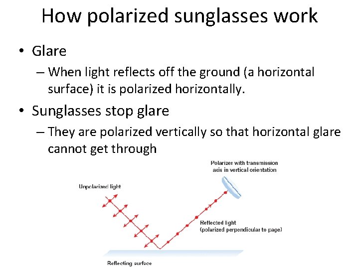 How polarized sunglasses work • Glare – When light reflects off the ground (a How polarized sunglasses work • Glare – When light reflects off the ground (a