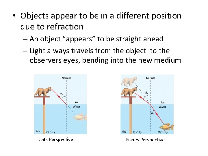 • Objects appear to be in a different position due to refraction – • Objects appear to be in a different position due to refraction –