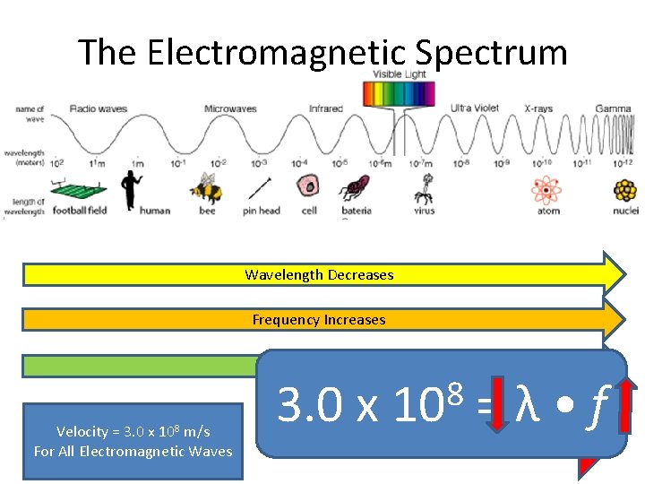 The Electromagnetic Spectrum Wavelength Decreases Frequency Increases Energy Increases Velocity = 3. 0 x The Electromagnetic Spectrum Wavelength Decreases Frequency Increases Energy Increases Velocity = 3. 0 x