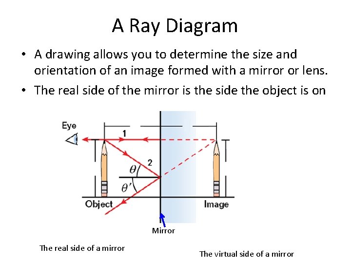 A Ray Diagram • A drawing allows you to determine the size and orientation A Ray Diagram • A drawing allows you to determine the size and orientation