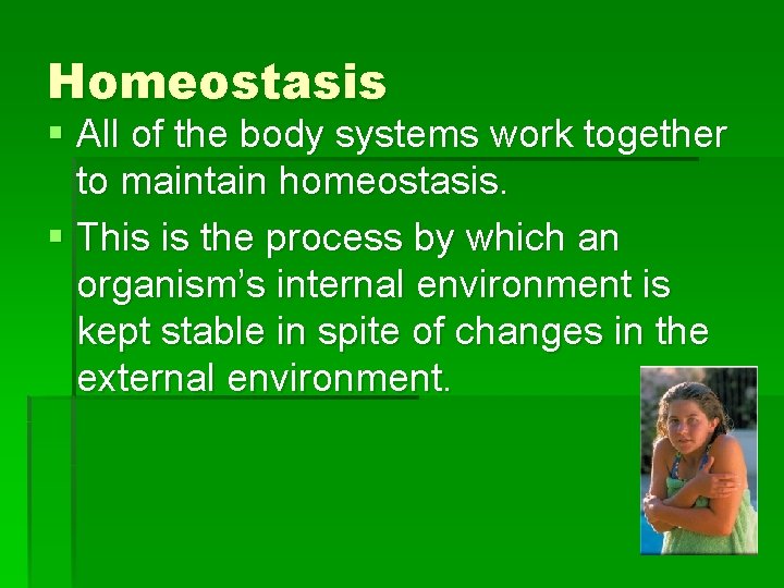 Homeostasis § All of the body systems work together to maintain homeostasis. § This