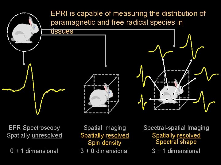 EPRI is capable of measuring the distribution of paramagnetic and free radical species in