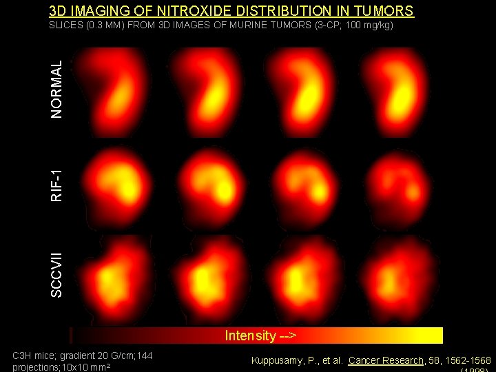 3 D IMAGING OF NITROXIDE DISTRIBUTION IN TUMORS SCCVII RIF-1 NORMAL SLICES (0. 3