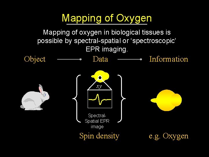 Mapping of Oxygen Mapping of oxygen in biological tissues is possible by spectral-spatial or