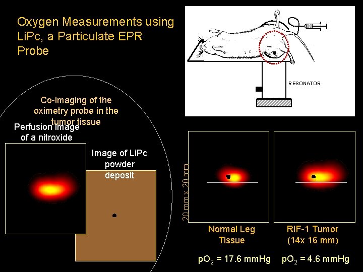 Oxygen Measurements using Li. Pc, a Particulate EPR Probe RESONATOR Image of Li. Pc