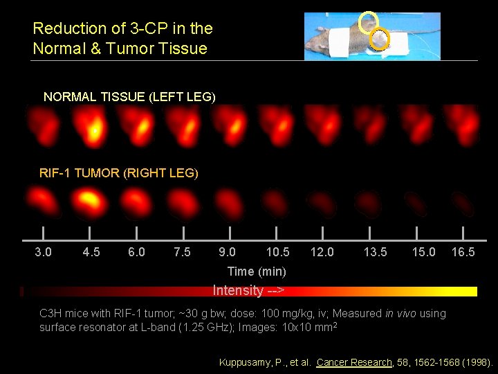 Reduction of 3 -CP in the Normal & Tumor Tissue NORMAL TISSUE (LEFT LEG)