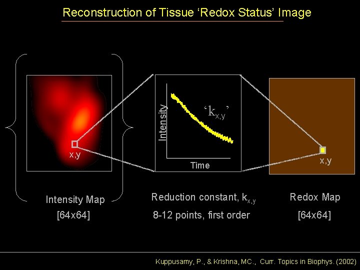 Intensity Reconstruction of Tissue ‘Redox Status’ Image ‘kx, y’ x, y Time x, y
