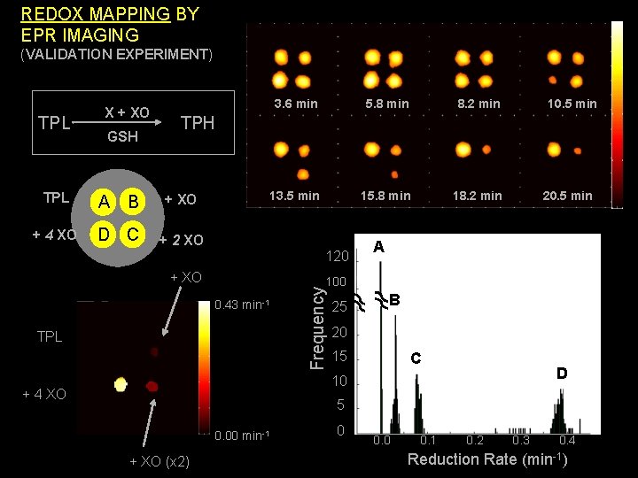 REDOX MAPPING BY EPR IMAGING (VALIDATION EXPERIMENT) TPL X + XO GSH 3. 6