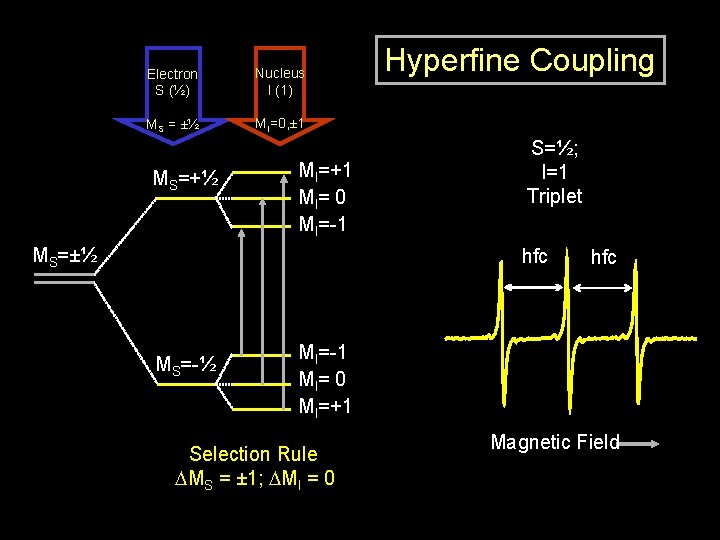 Electron S (½) Nucleus I (1) MS = ±½ MI=0, ± 1 MS=+½ MI=+1