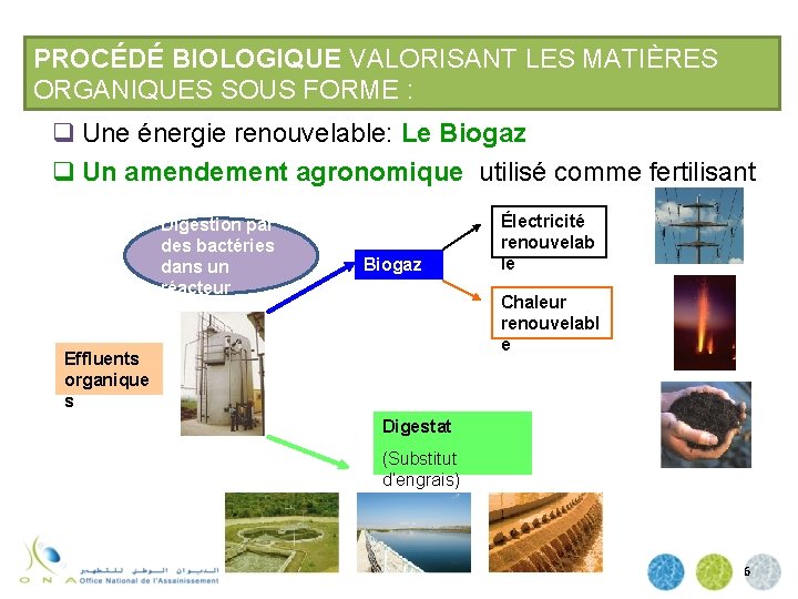 PROCÉDÉ BIOLOGIQUE VALORISANT LES MATIÈRES ORGANIQUES SOUS FORME : q Une énergie renouvelable: Le