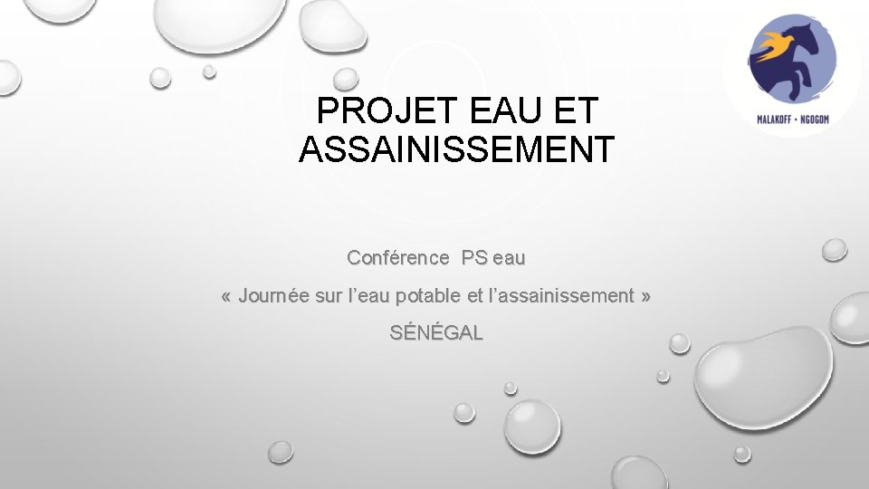 PROJET EAU ET ASSAINISSEMENT Conférence PS eau « Journée sur l’eau potable et l’assainissement