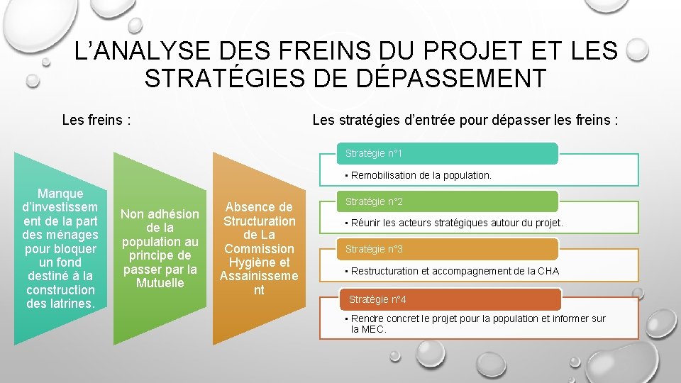 L’ANALYSE DES FREINS DU PROJET ET LES STRATÉGIES DE DÉPASSEMENT Les freins : Les