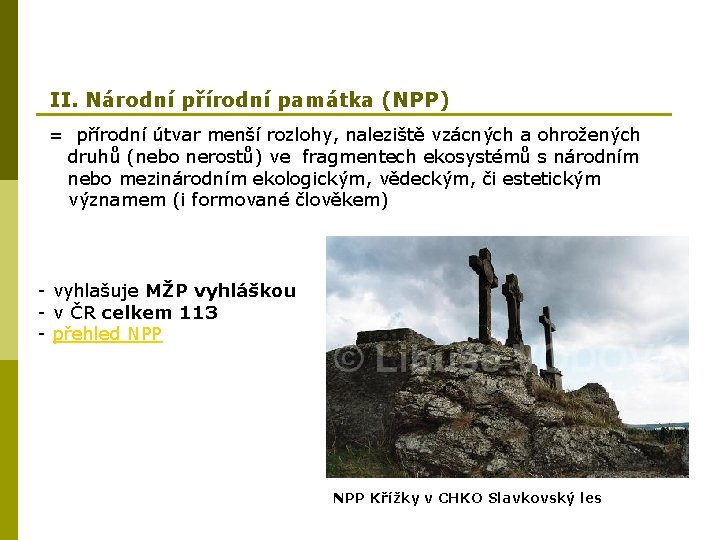 II. Národní přírodní památka (NPP) = přírodní útvar menší rozlohy, naleziště vzácných a ohrožených