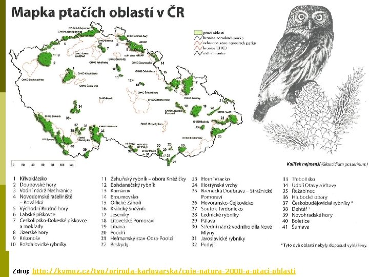 Zdroj: http: //kvmuz. cz/typ/priroda-karlovarska/coje-natura-2000 -a-ptaci-oblasti 