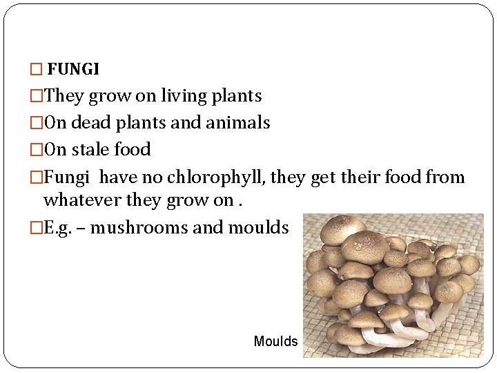 � FUNGI �They grow on living plants �On dead plants and animals �On stale � FUNGI �They grow on living plants �On dead plants and animals �On stale