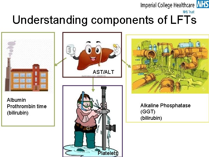 Understanding components of LFTs AST/ALT Albumin Prothrombin time (bilirubin) Alkaline Phosphatase (GGT) (bilirubin) Platelets