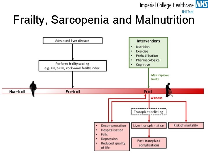 Frailty, Sarcopenia and Malnutrition 