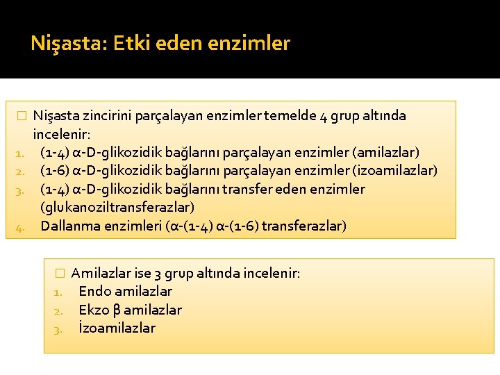 Nişasta: Etki eden enzimler � 1. 2. 3. 4. Nişasta zincirini parçalayan enzimler temelde