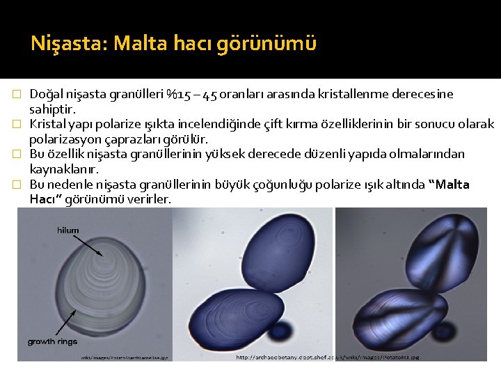 Nişasta: Malta hacı görünümü Doğal nişasta granülleri %15 – 45 oranları arasında kristallenme derecesine