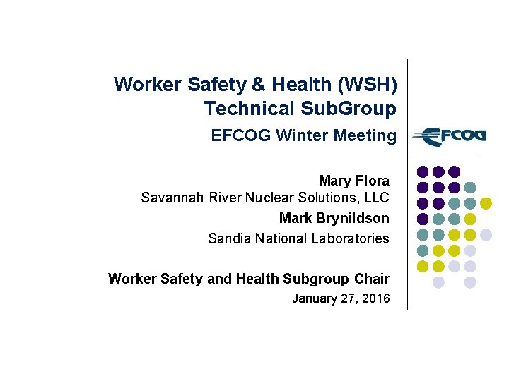 Worker Safety & Health (WSH) Technical Sub. Group EFCOG Winter Meeting Mary Flora Savannah