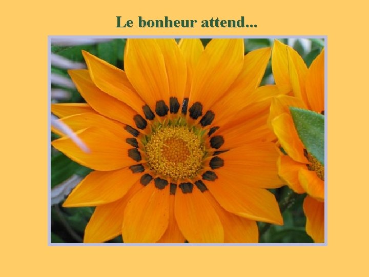 Le bonheur attend. . . 