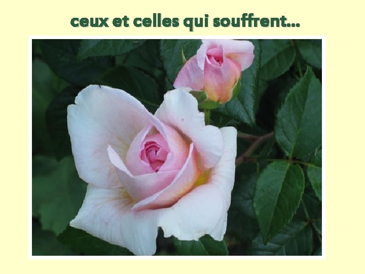 ceux et celles qui souffrent… 