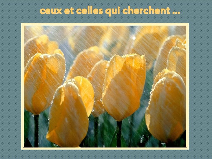 ceux et celles qui cherchent … 