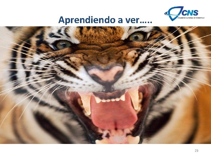 Aprendiendo a ver…. . 23 